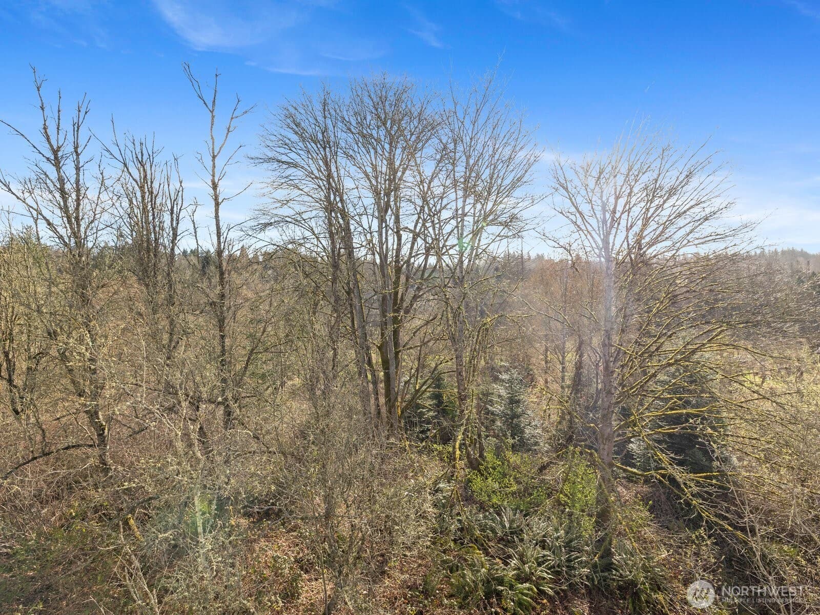 Property photo 39