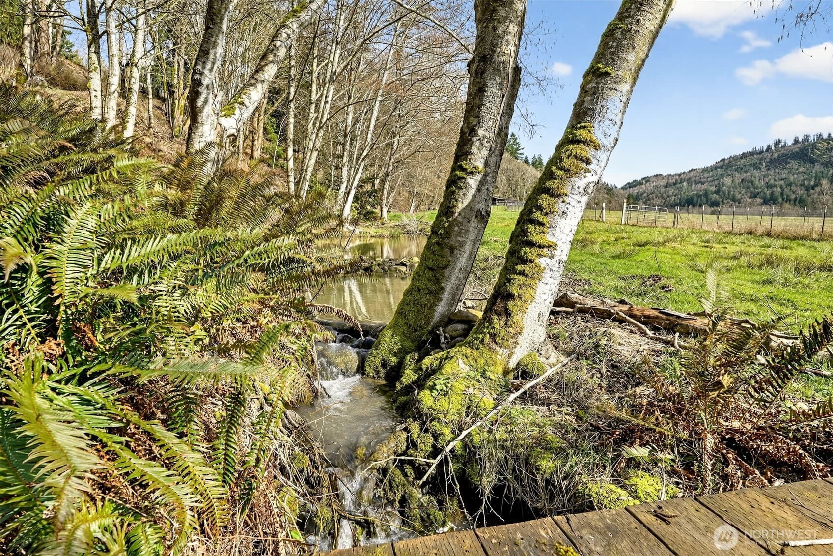 Property photo 36
