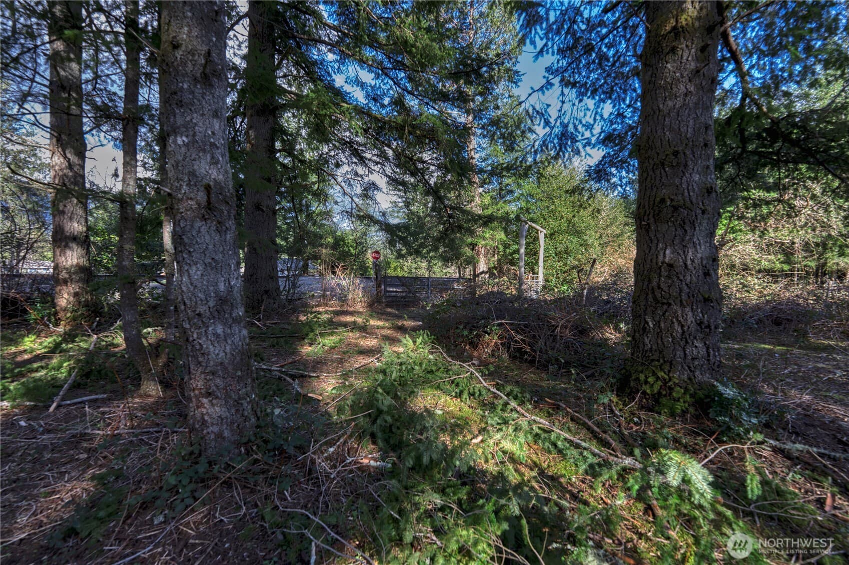 Property photo 22