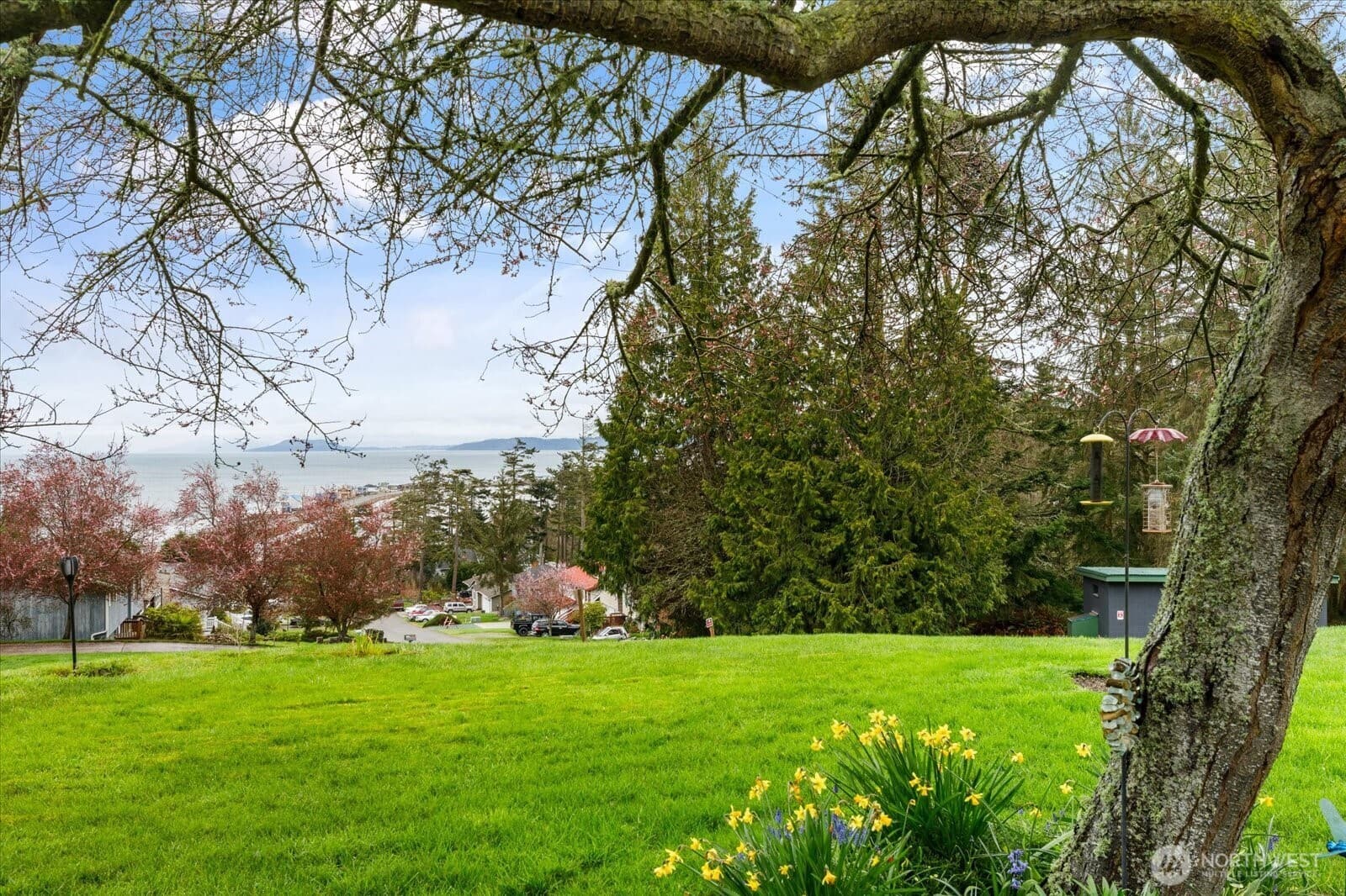 Property photo 32