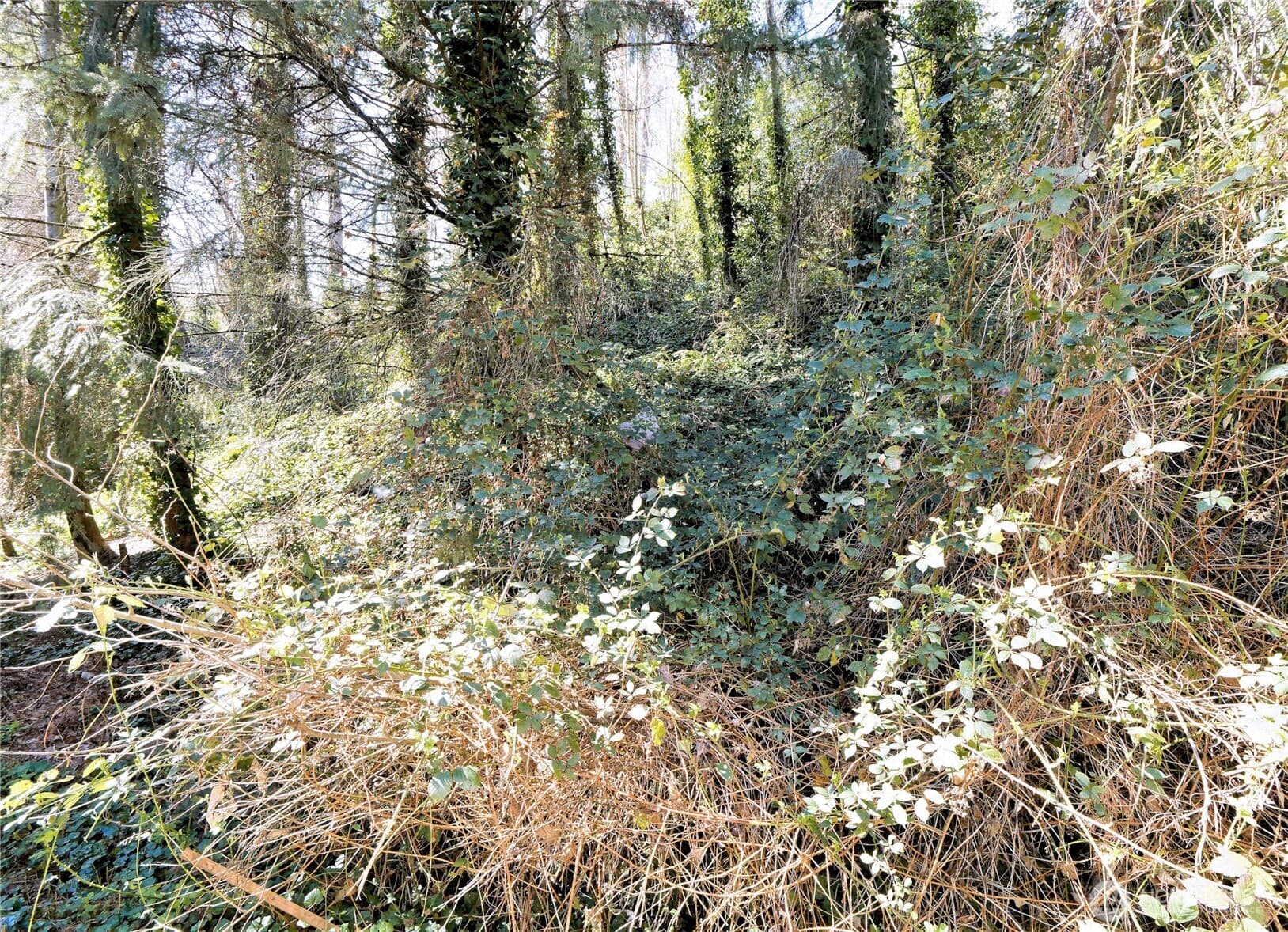 Property photo 18