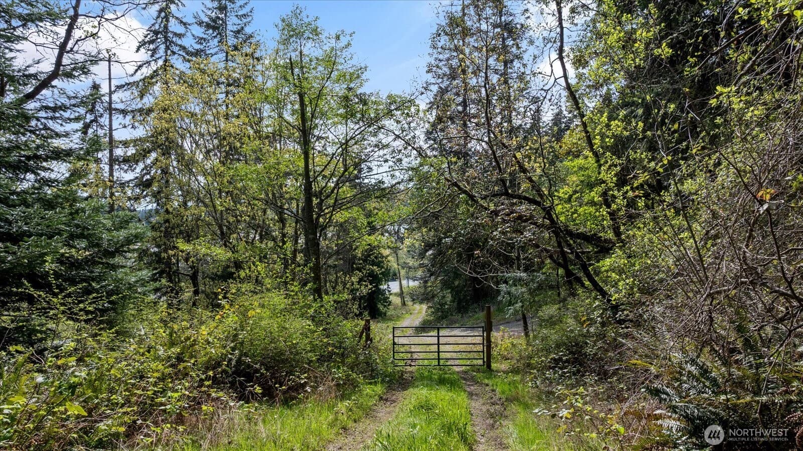 Property photo 31