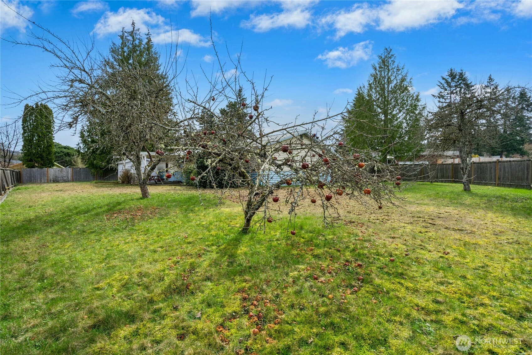Property photo 32