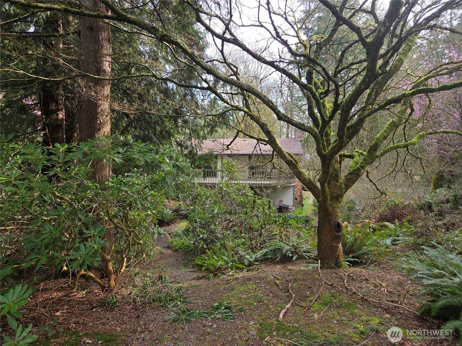 Property photo 35