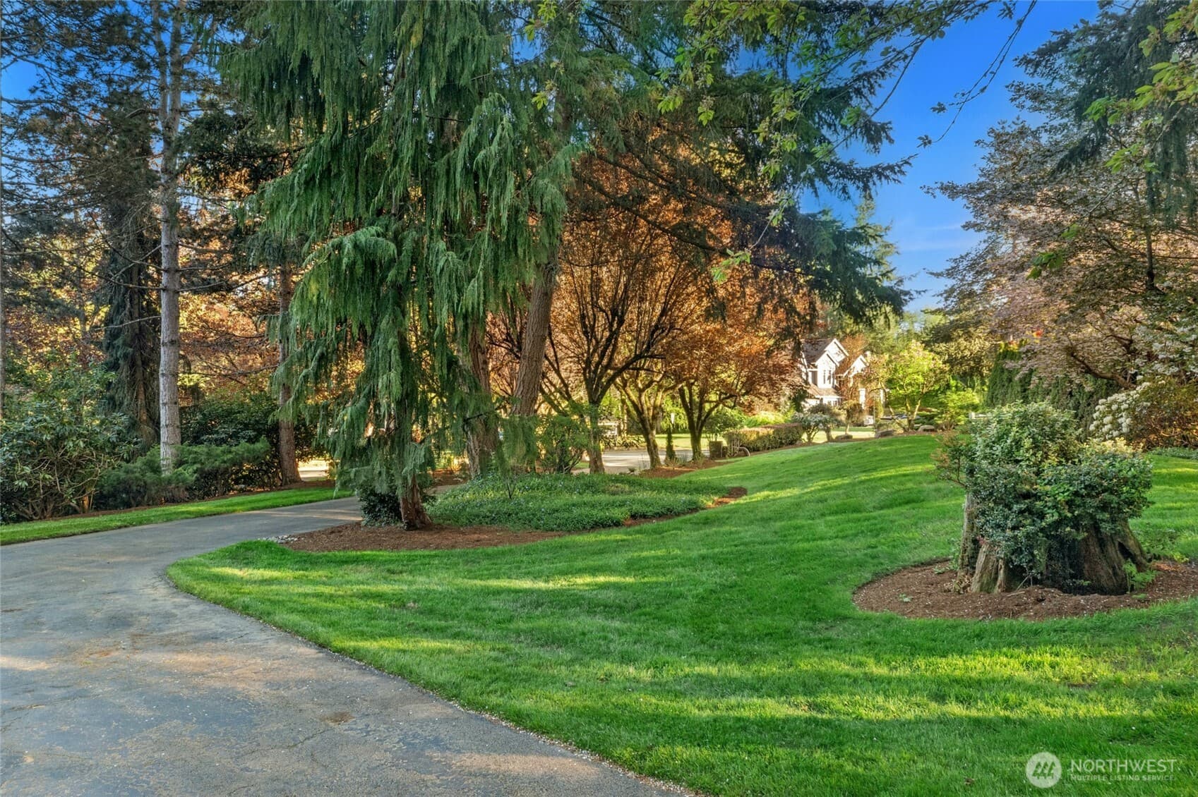 Property photo 39