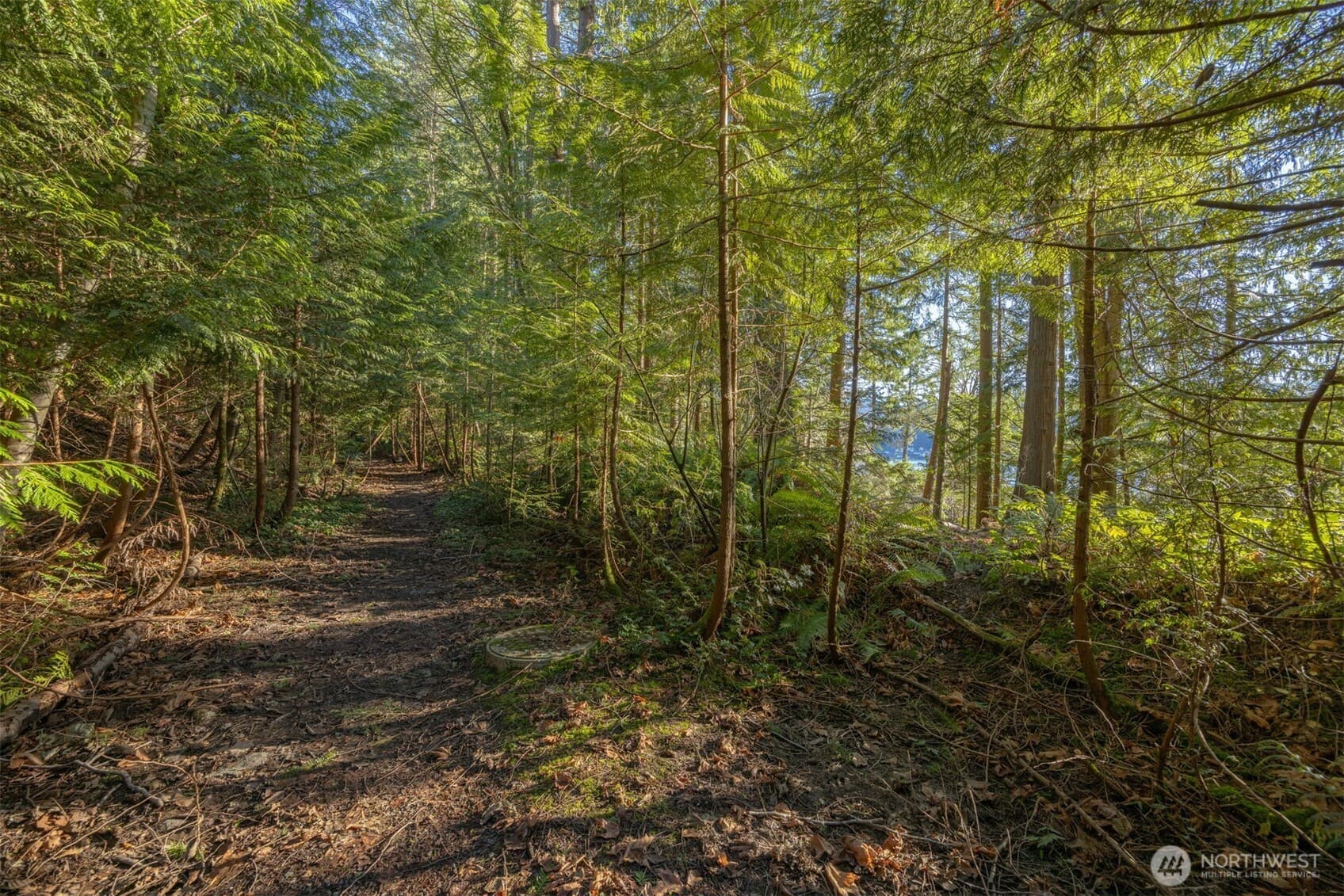 Property photo 31