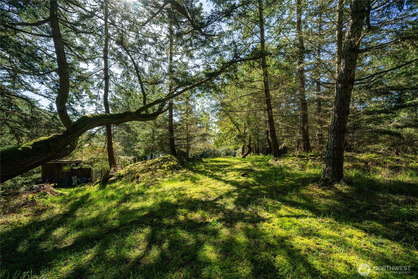 Property photo 37