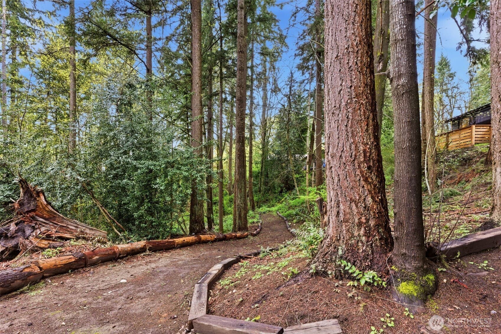 Property photo 38