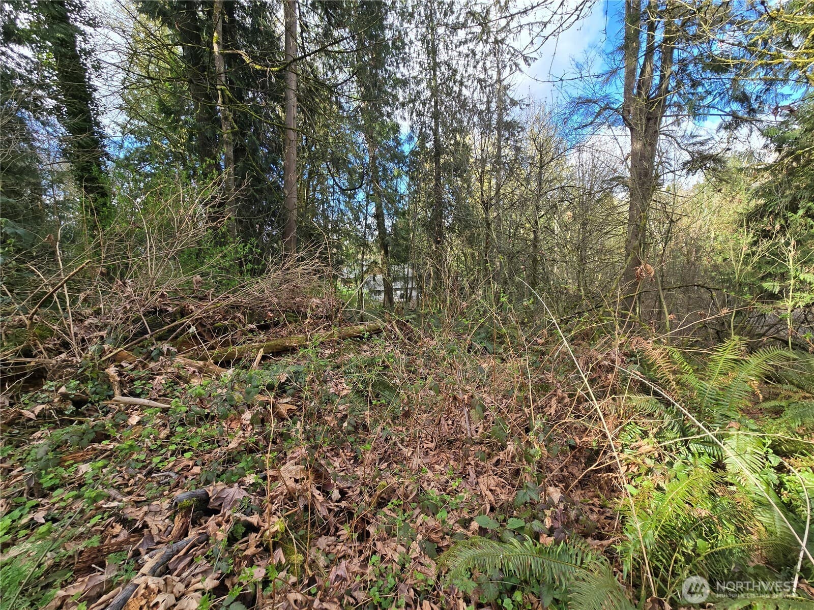 Property photo 21
