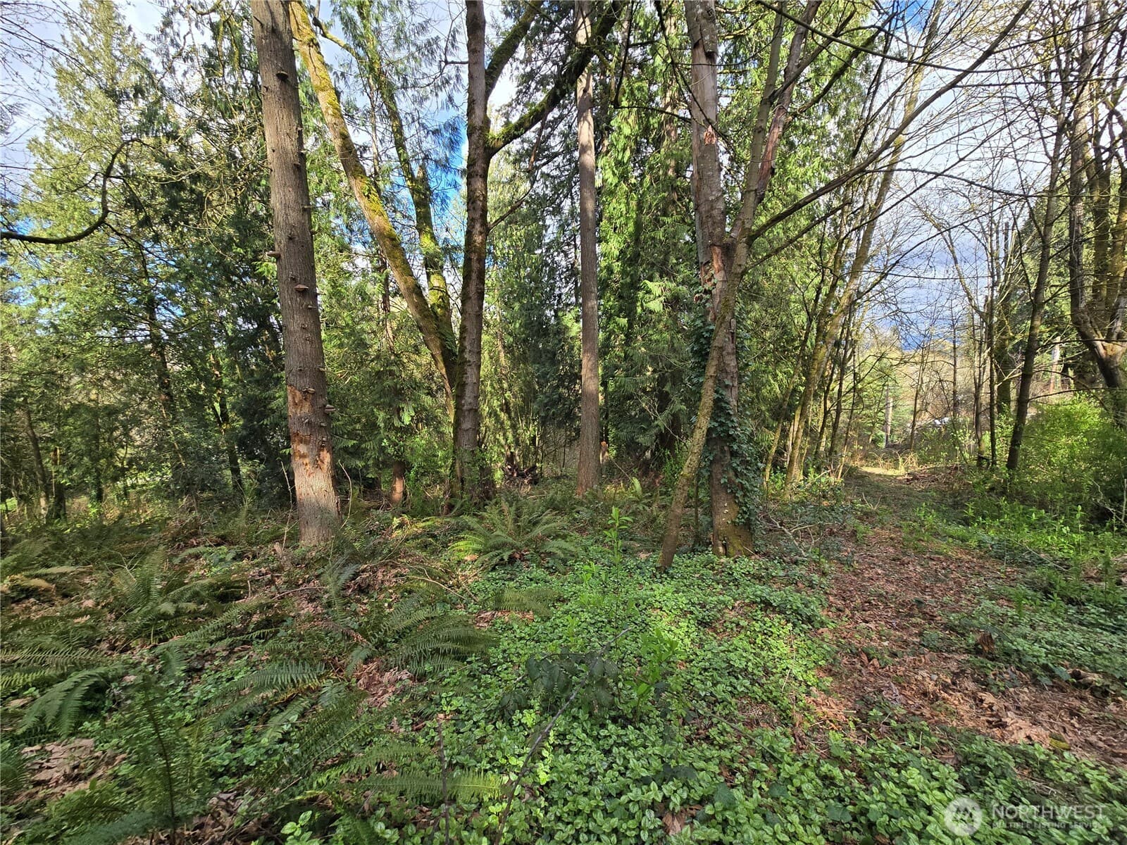 Property photo 25