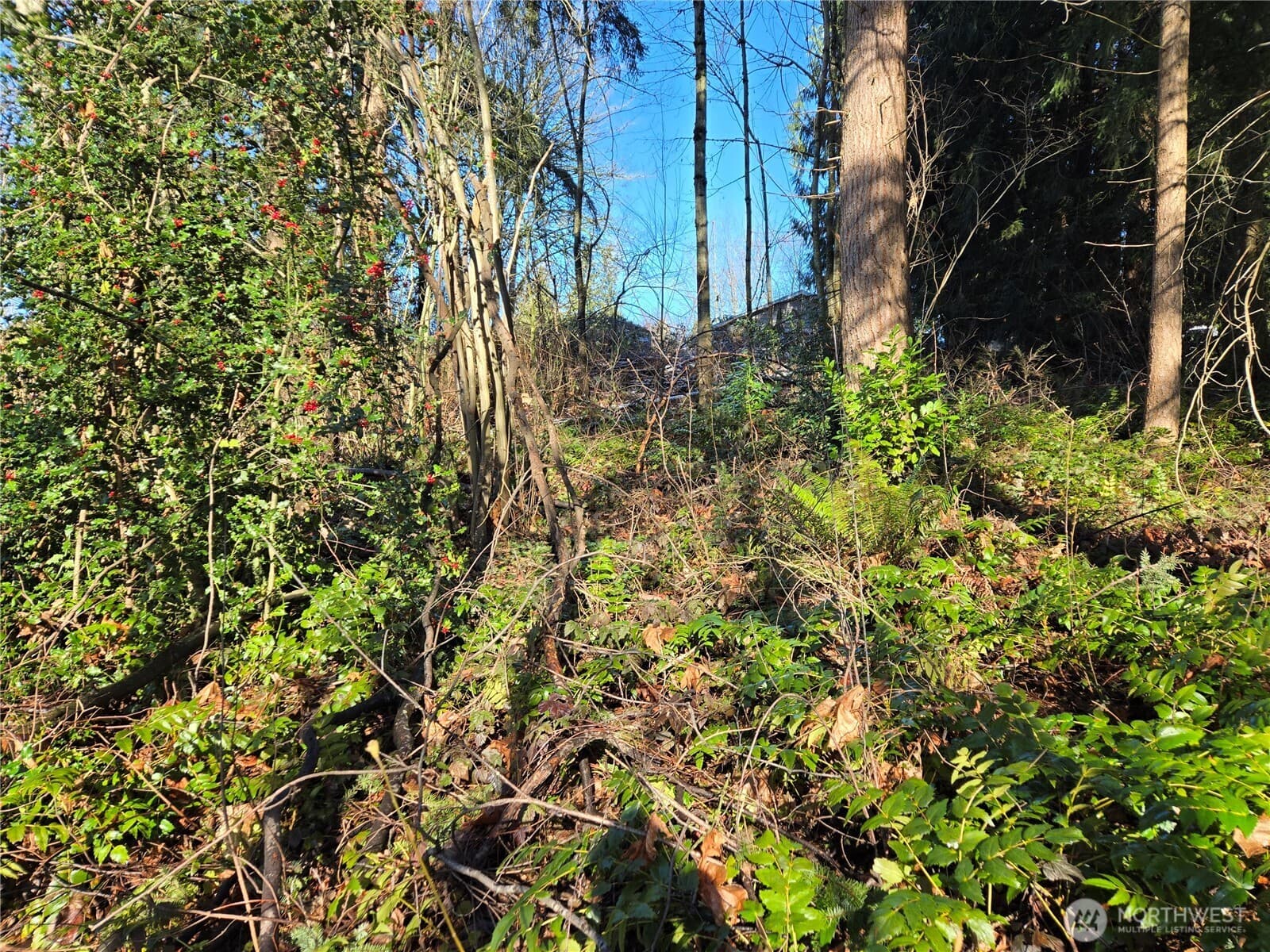 Property photo 27