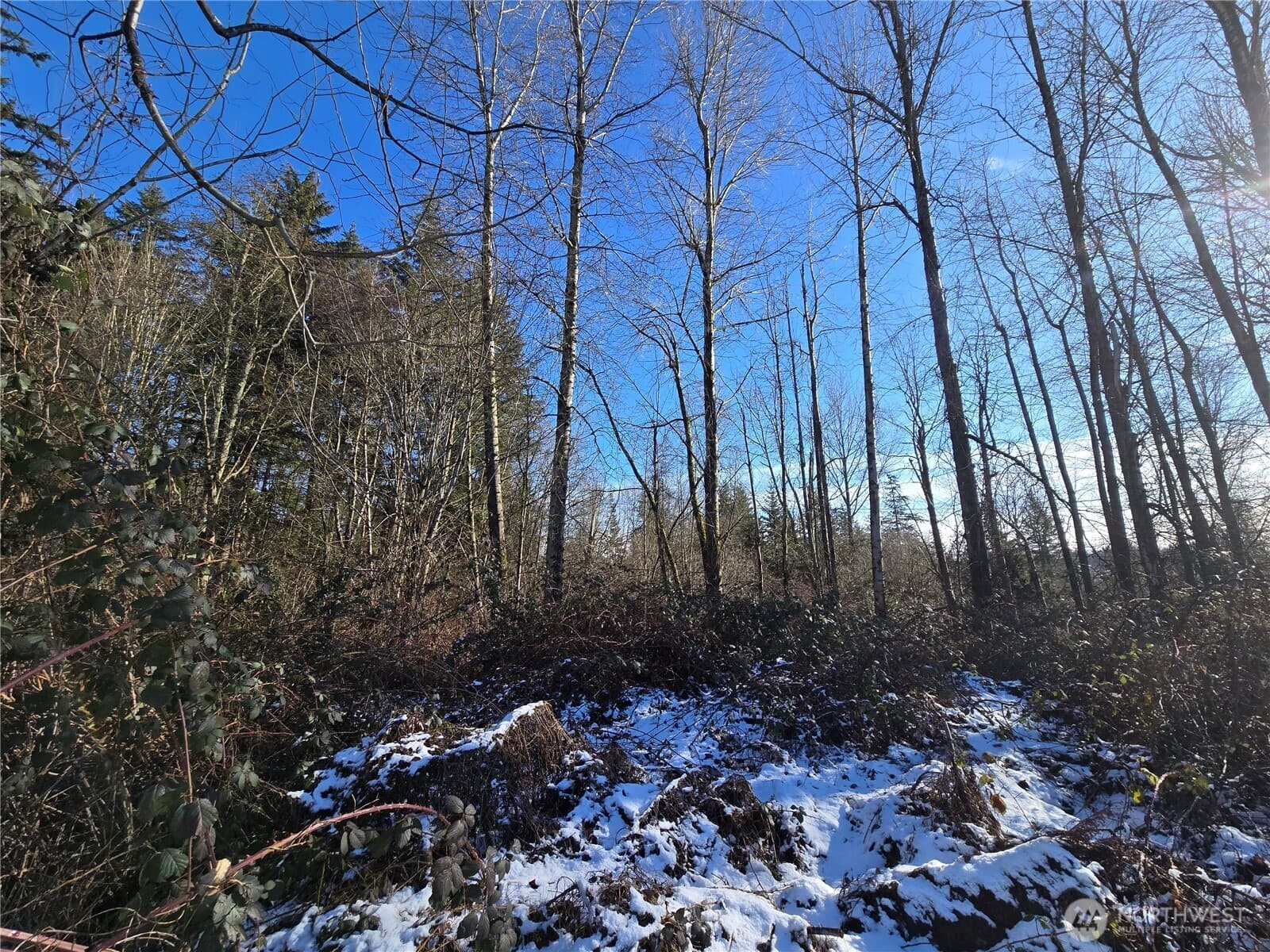 Property photo 35
