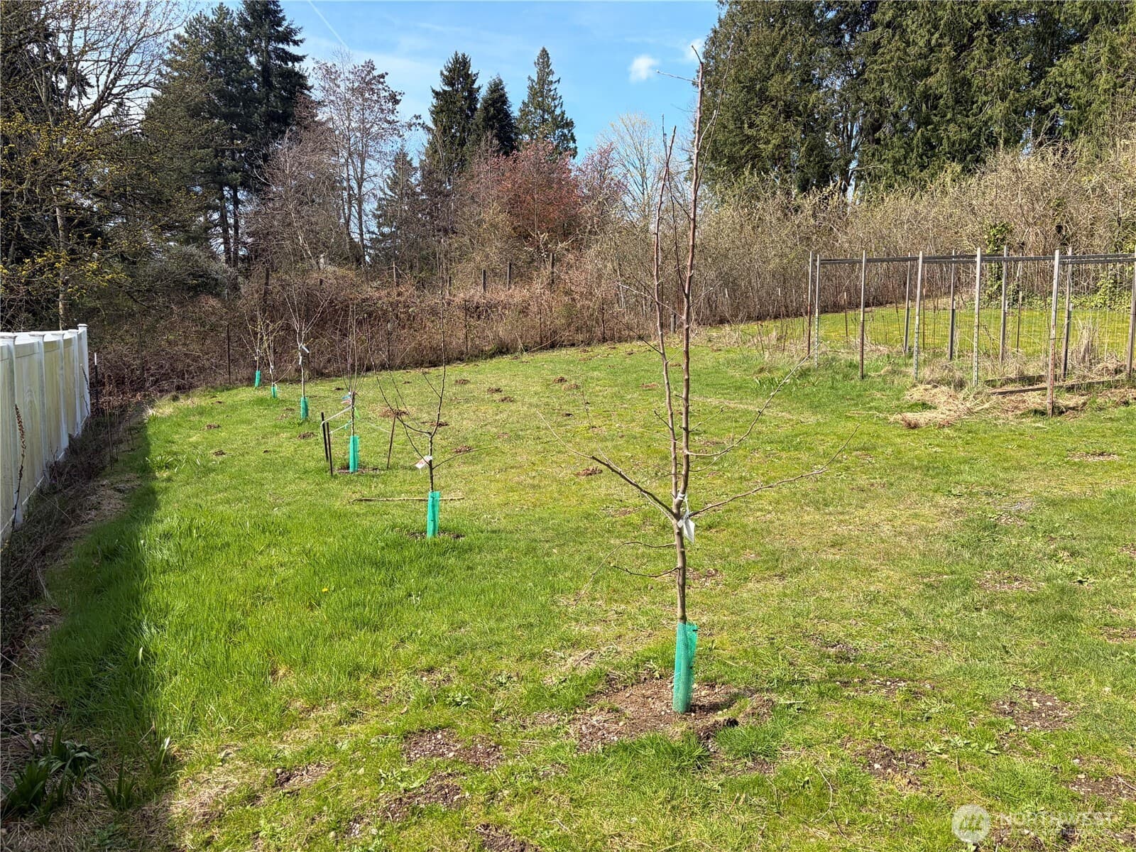 Property photo 27
