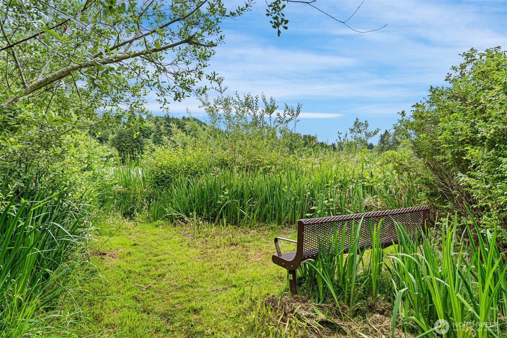 Property photo 38