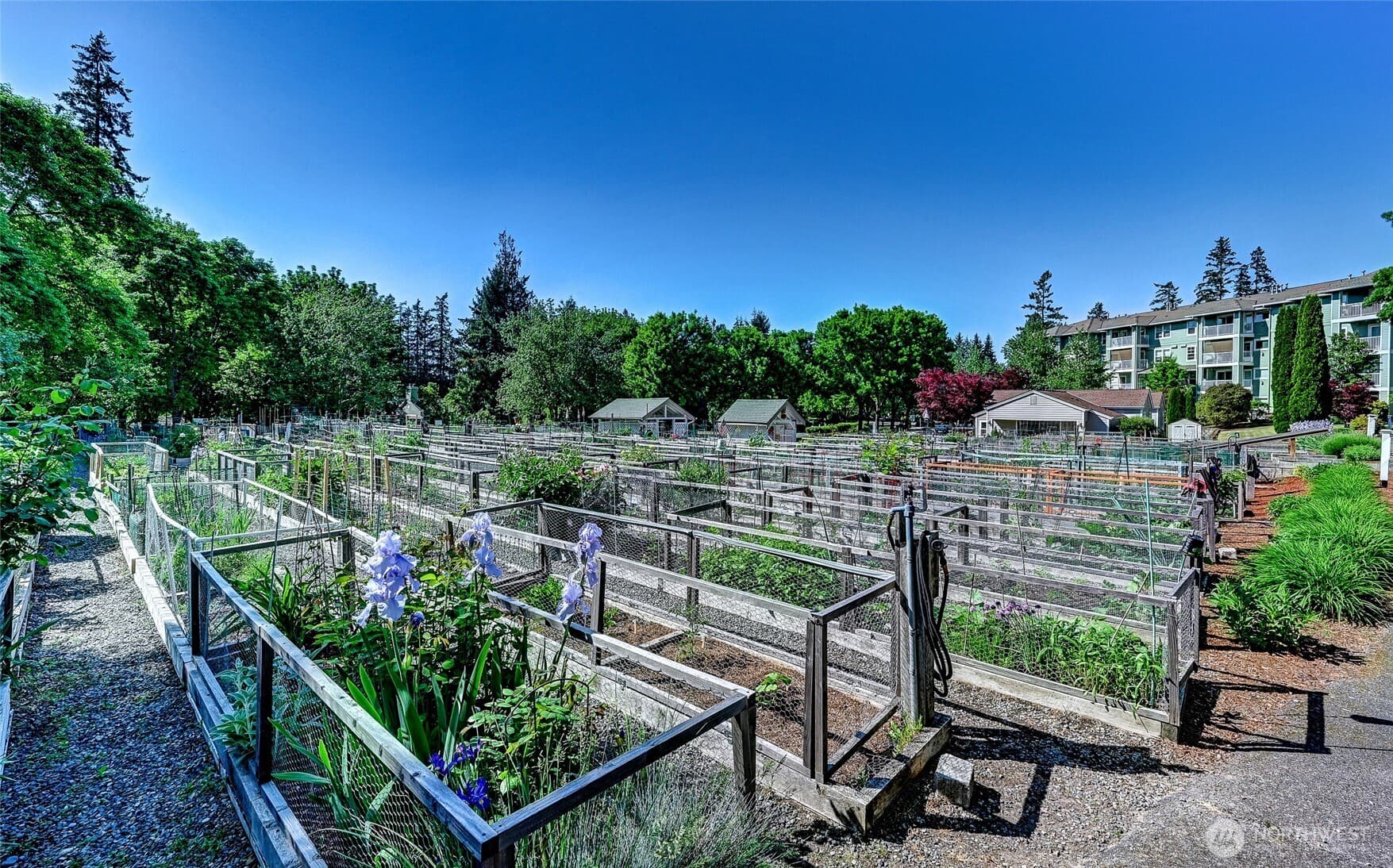 Property photo 40