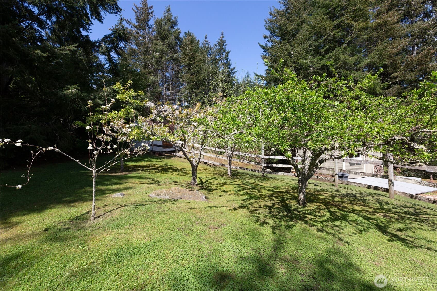 Property photo 35
