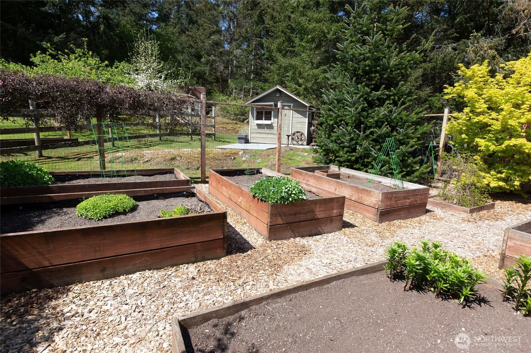 Property photo 38