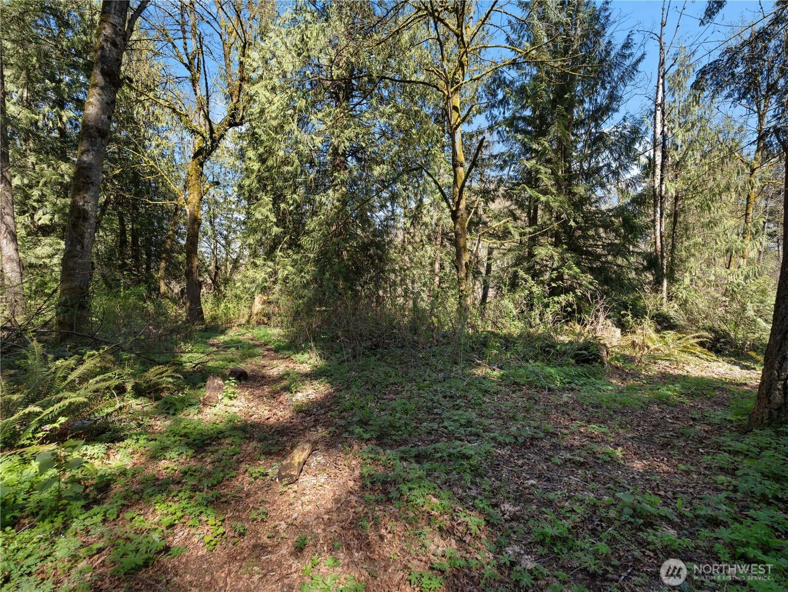 Property photo 29