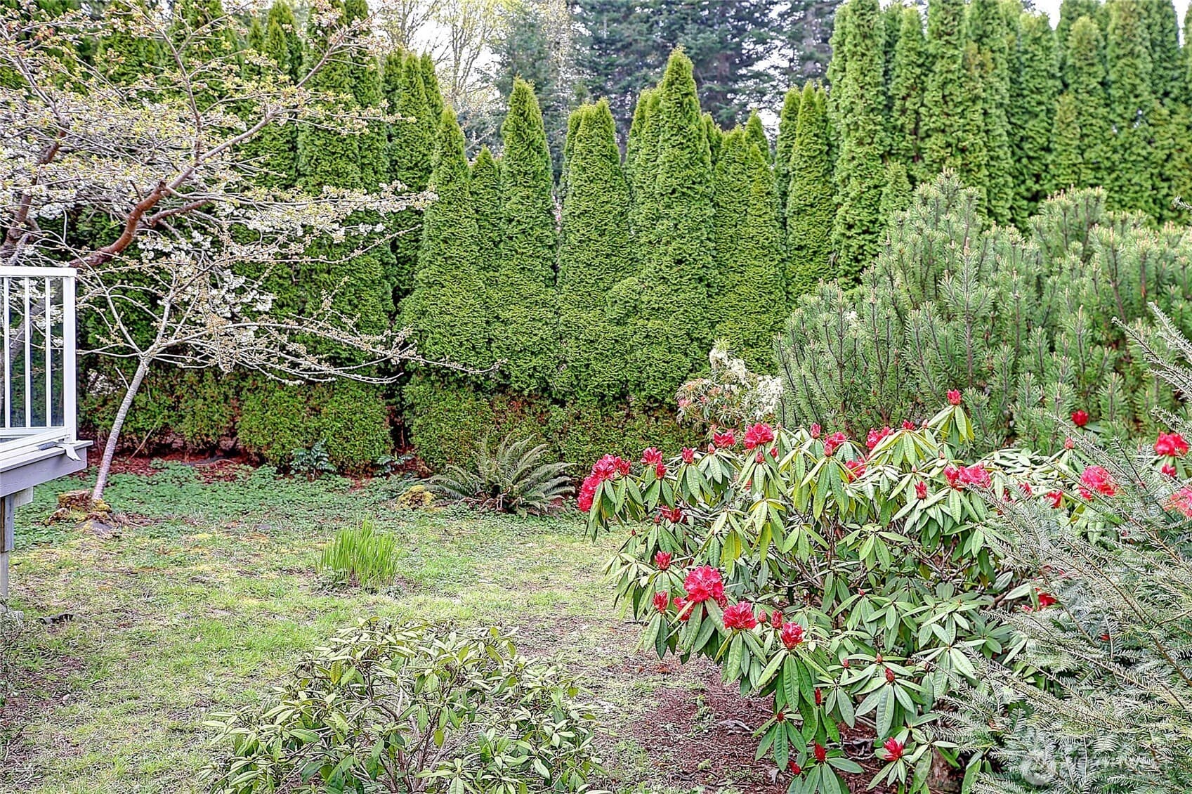 Property photo 23