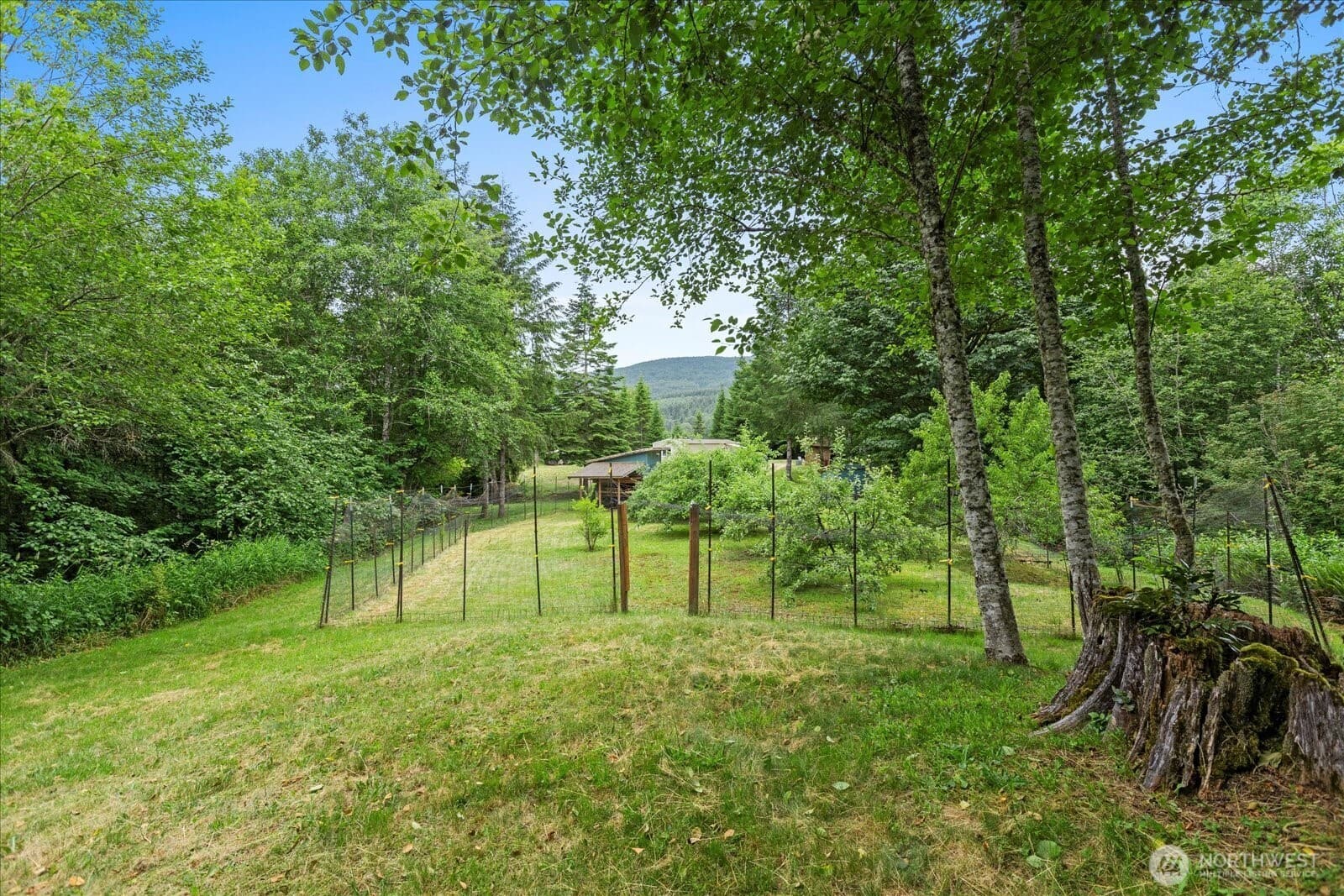 Property photo 22