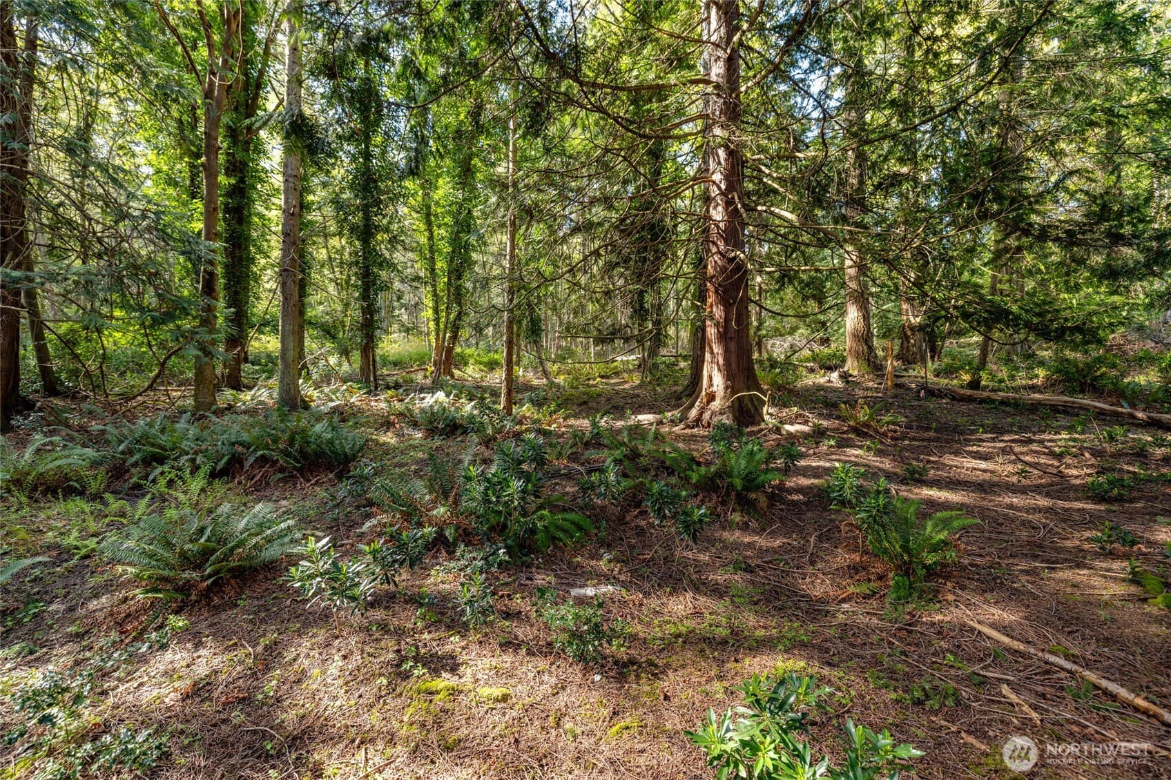 Property photo 37