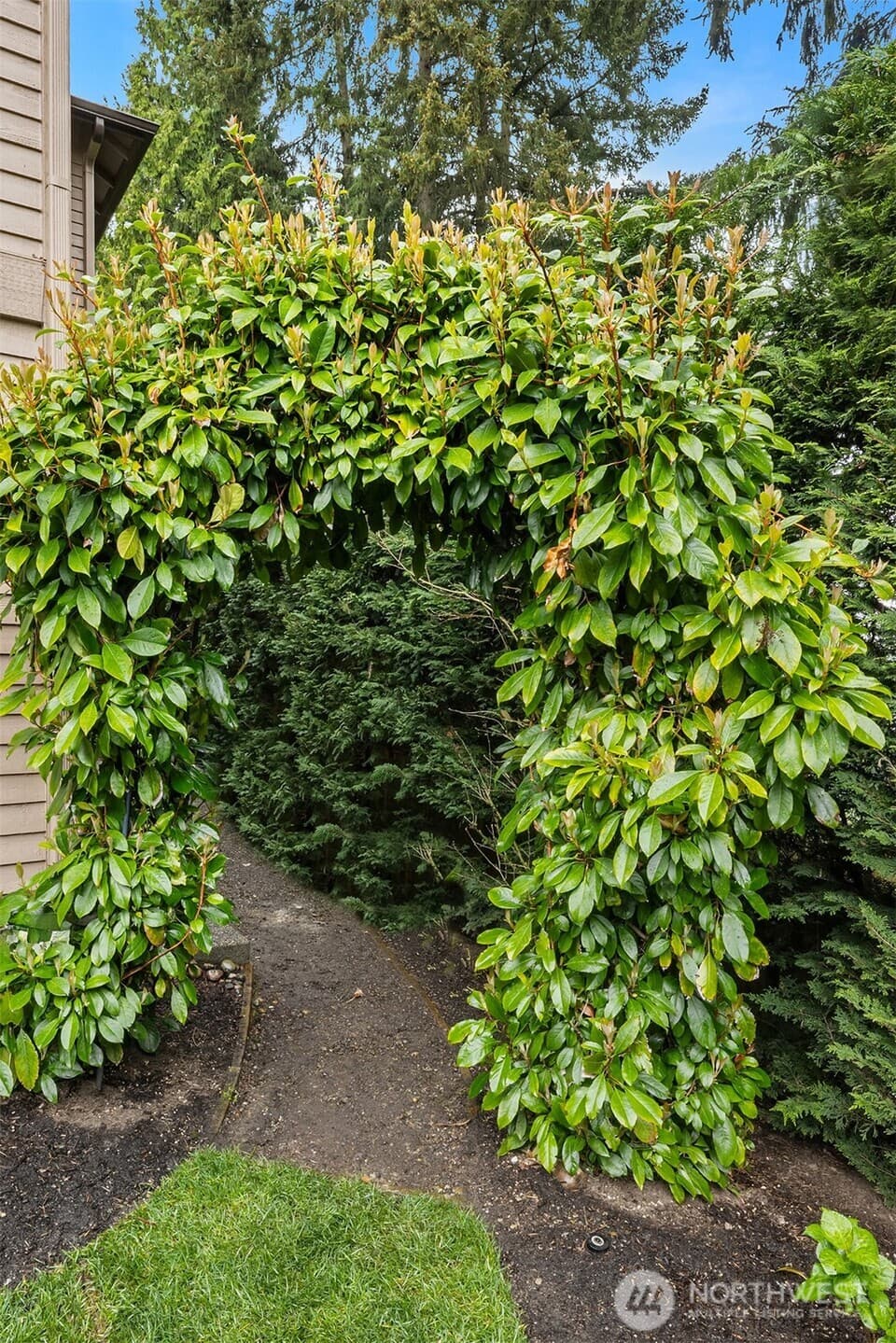 Property photo 29