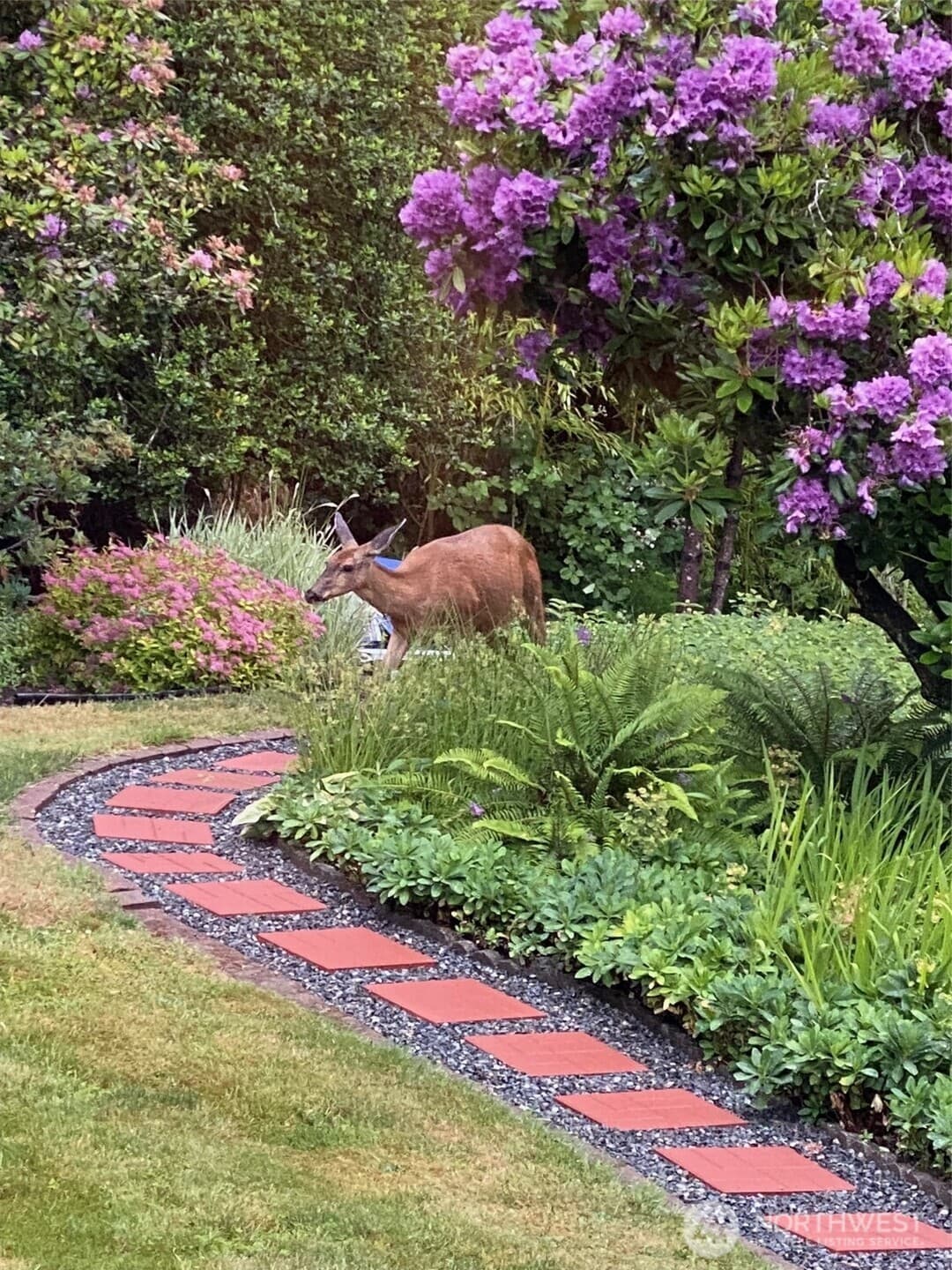 Property photo 37