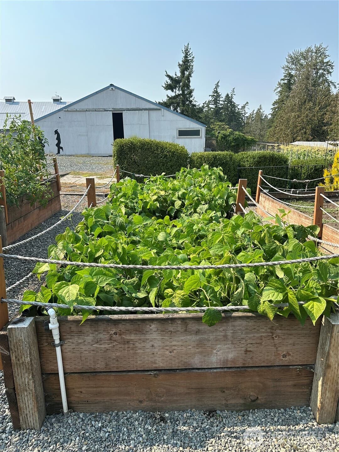 Property photo 38