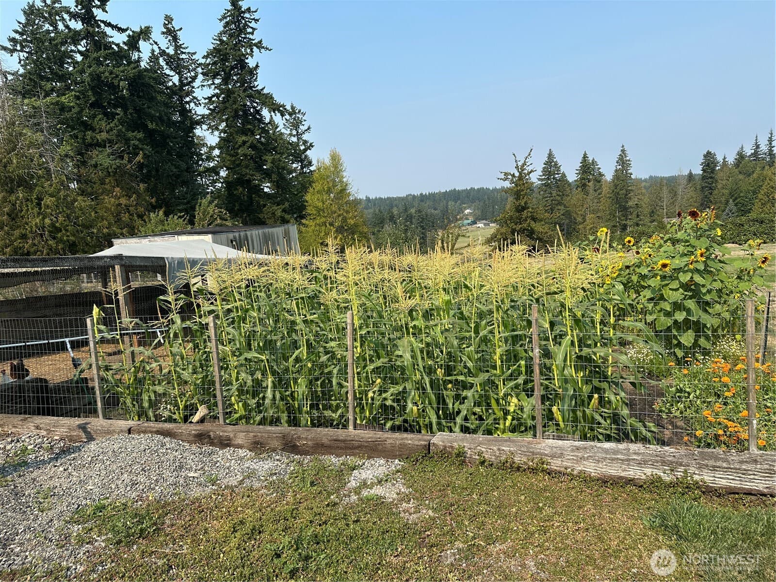 Property photo 39