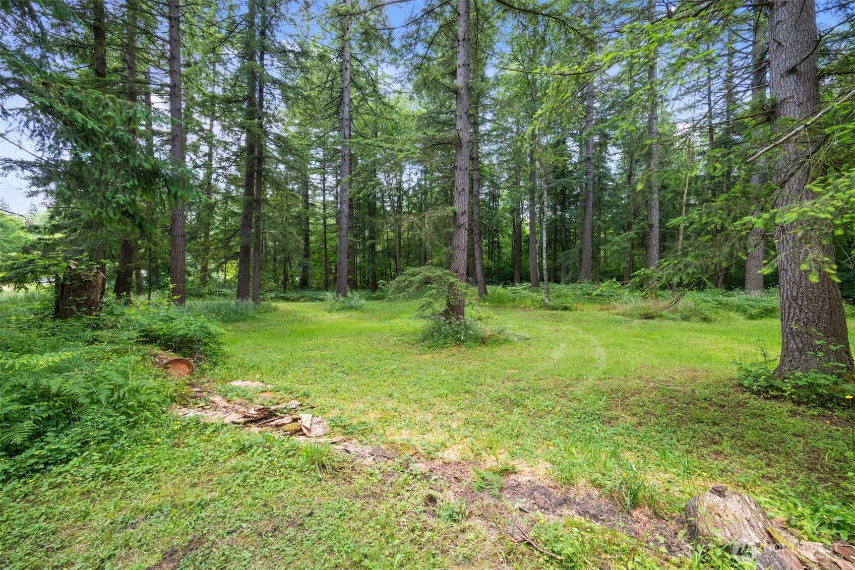 Property photo 38