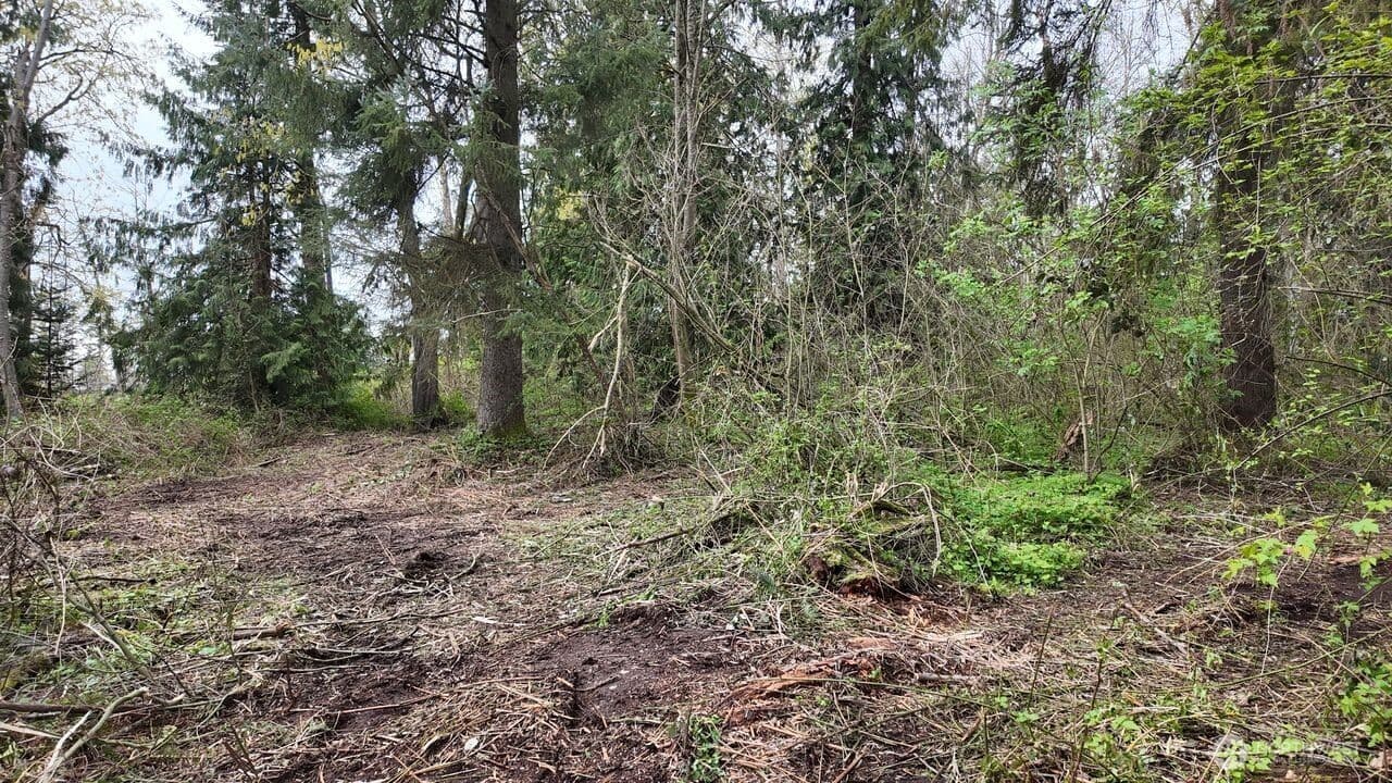 Property photo 17