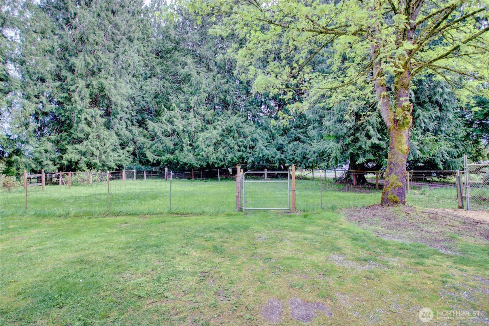 Property photo 35
