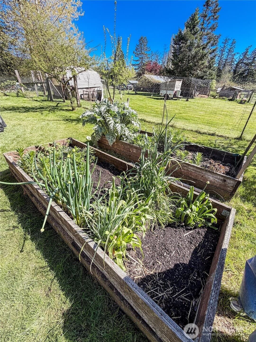 Property photo 22