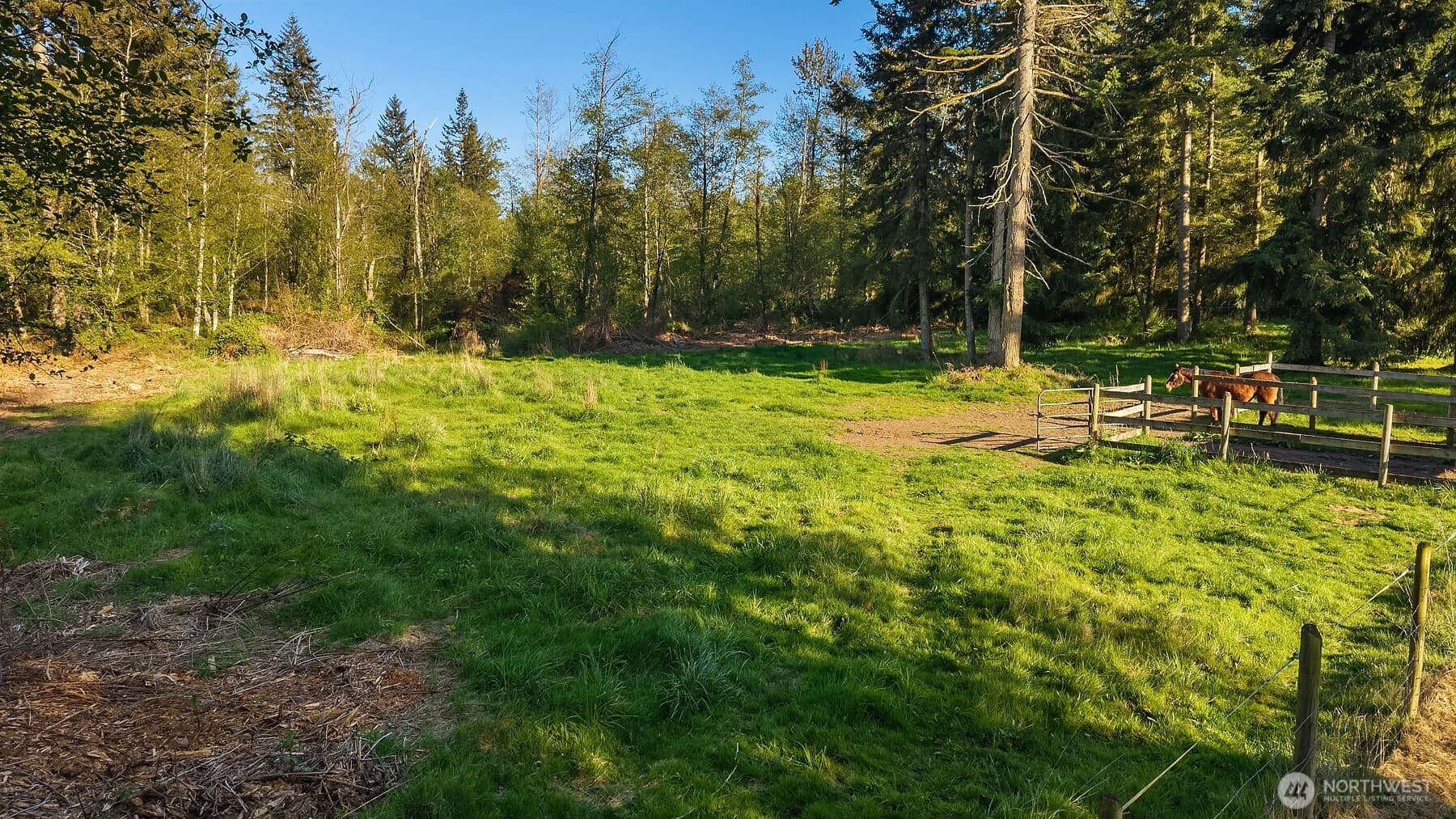 Property photo 37