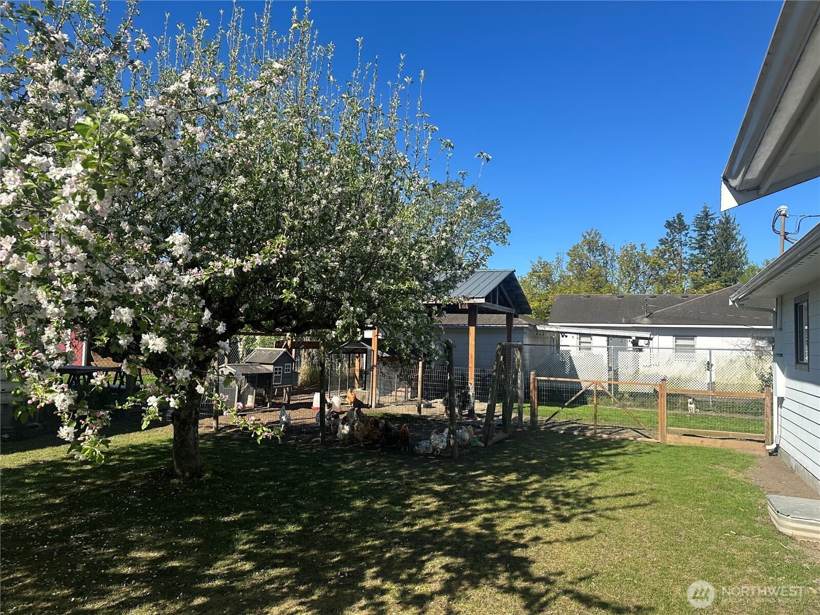 Property photo 24
