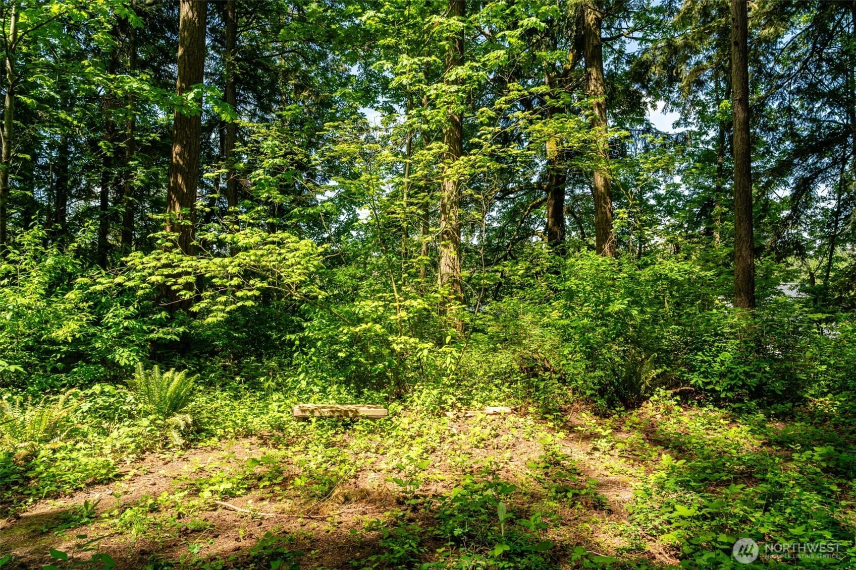 Property photo 34