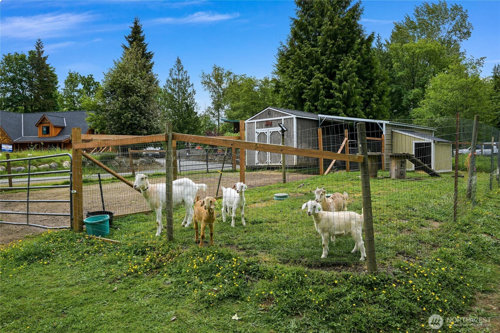 Property photo 32